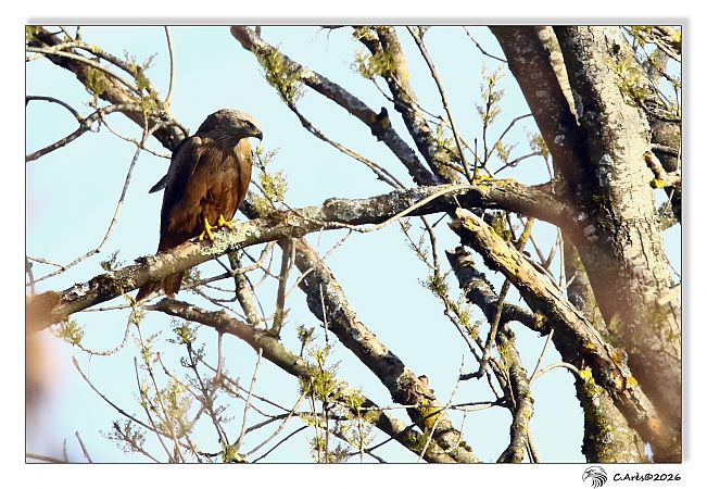 Milan noir  - Claude Ares