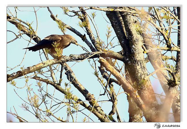 Milan noir  - Claude Ares