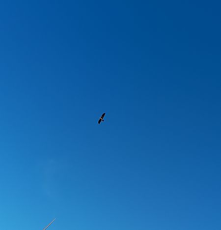 Milan indéterminé  - Adrienne Casteignau