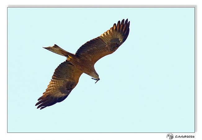 Milan noir  - Claude Ares