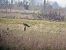 Buse variable  - Baptiste Sinot