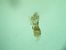 Idaea rhodogrammaria  - Melchior Viallet