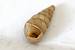 Cochlostoma sp.  - Bernard Nogues