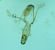 Mesophleps silacella  - Melchior Viallet