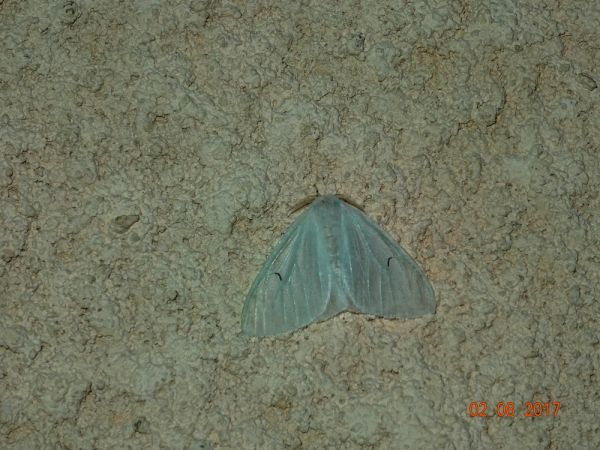 L-noir  - Jean-Christophe Boisguerin