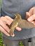Common Reed Warbler - Alex Gamiz