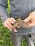 Common Reed Warbler - Alex Gamiz