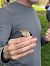 Common Reed Warbler - Alex Gamiz
