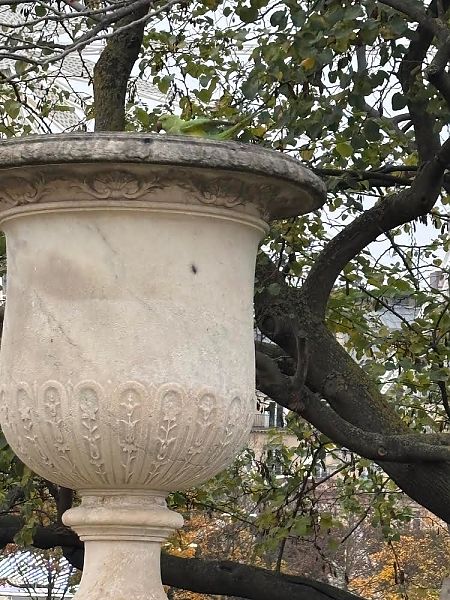 Perruche à collier  - Margery Santos