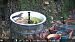 Gobemouche noir (Ficedula hypoleuca) © Claude Acheré