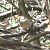 Pinson des arbres (Fringilla coelebs) © Magali Hivert
