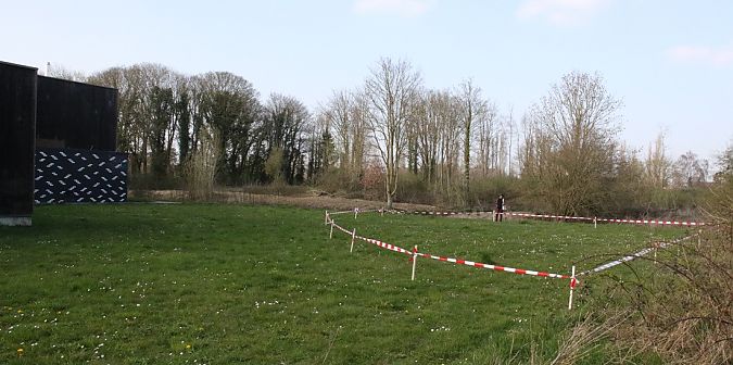 Ophrys apifera  - Joel Savart