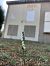 Spiranthes spiralis - Armelle Bass