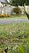 Spiranthes spiralis (Spiranthe d'automne) Anonyme