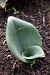 Himantoglossum hircinum - Ghislain Constans