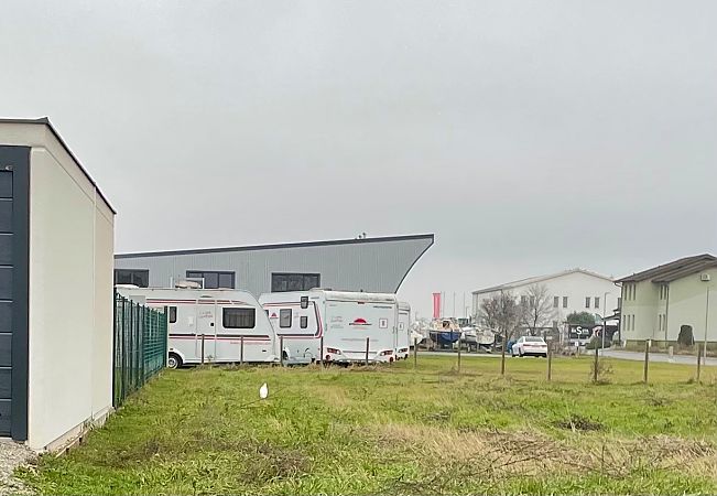 Héron garde-boeufs  - Josef Steiner