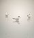 Sterne hansel  - Matthias Bogenschütz