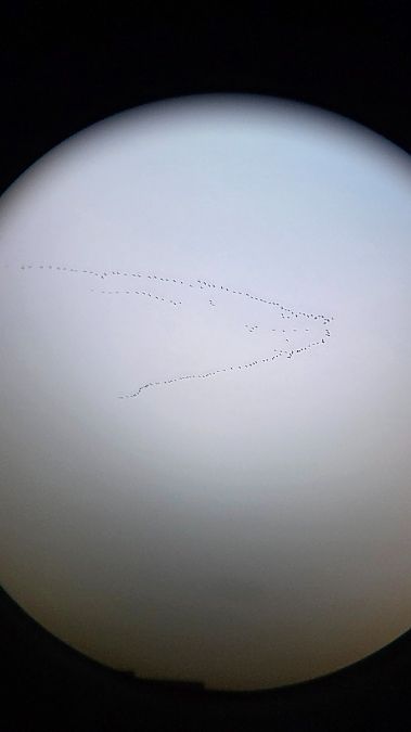 Grua  - Gerard Tejero Casasayas