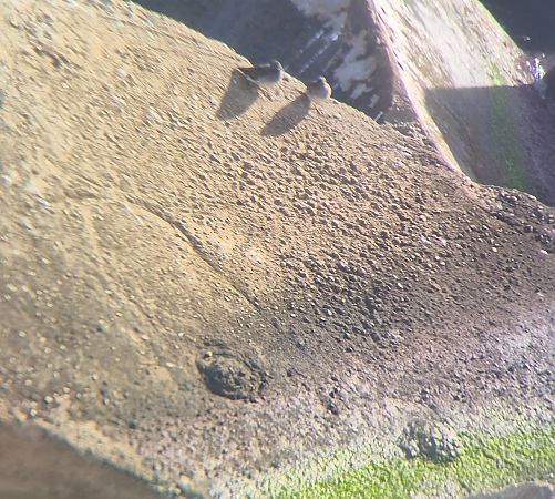 Territ fosc  - Juan Miguel Díaz