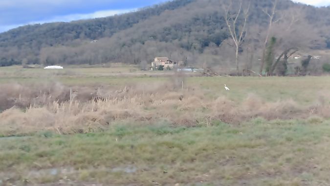 Agró blanc  - Albert Alonso