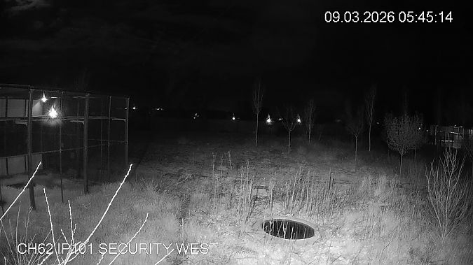 Mussol banyut  - Èric Capdevila Mezcua