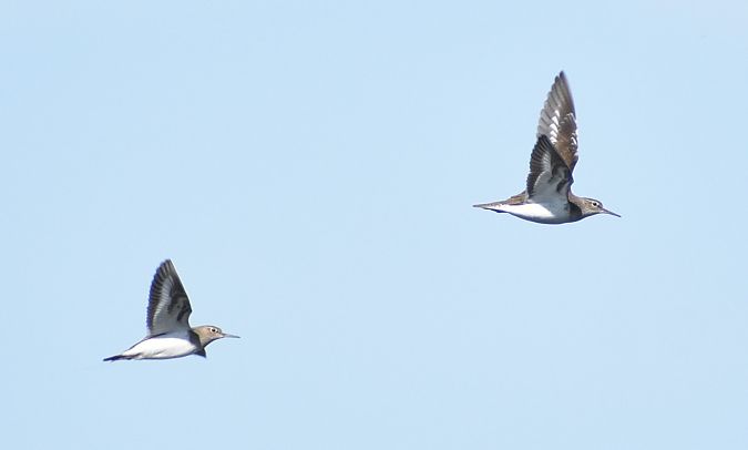 Xivitona  - Emiliano Ramos