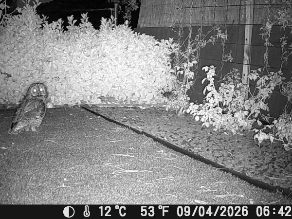 Gamarús  - Ignacio López González