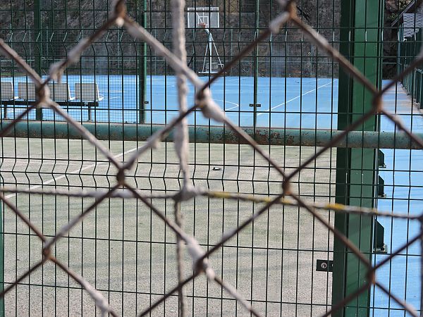 Cuereta blanca vulgar  - Vives Vidal Eli