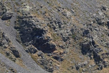 Àguila imperial ibèrica  - Cécilia Fridlender Jalla