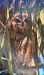 Long-eared Owl  - Martí Fernández Gratacós