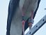 Cigonya blanca (Ciconia ciconia) © Èric Capdevila Mezcua