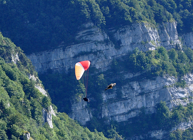 Milan noir  - Stephane Henneberg