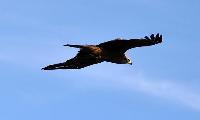 Milan noir  - Stephane Henneberg