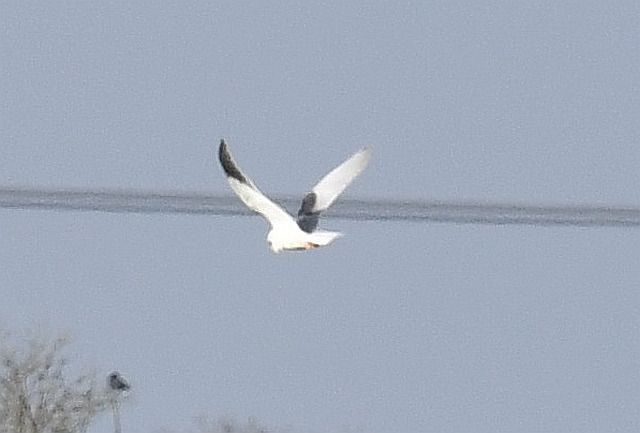 Gleitaar  - Bernd + Gesa Drahl