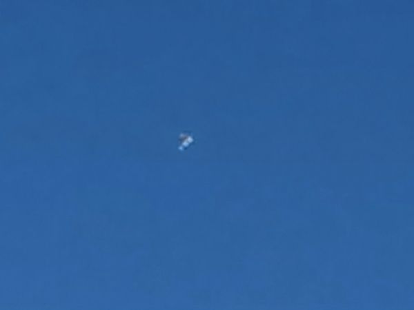 Raubwürger  - Herbert Stadelmann