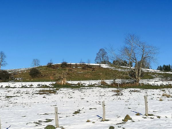 Raubwürger  - Herbert Stadelmann