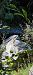 Amiltxori arrunta (Nycticorax nycticorax) © Iker Arrillaga
