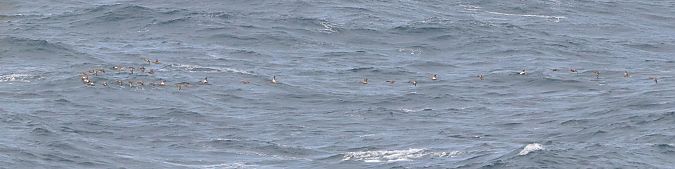 Ahate mokozabala  - David Santamaría