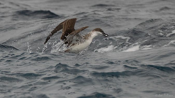 Gabai handia  - Jon Zubiaur