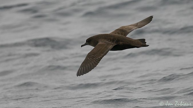 Gabai iluna  - Jon Zubiaur