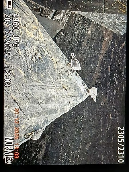 Txirri iluna  - Jose Ramon Labrador Rodriguez