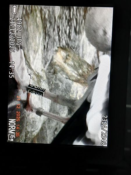 Kaio beltza  - Jose Ramon Labrador Rodriguez