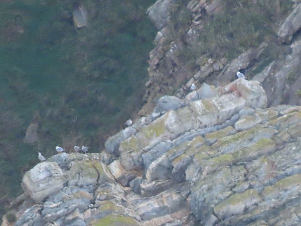 Kaio hankahoria  - Juana Oyanguren