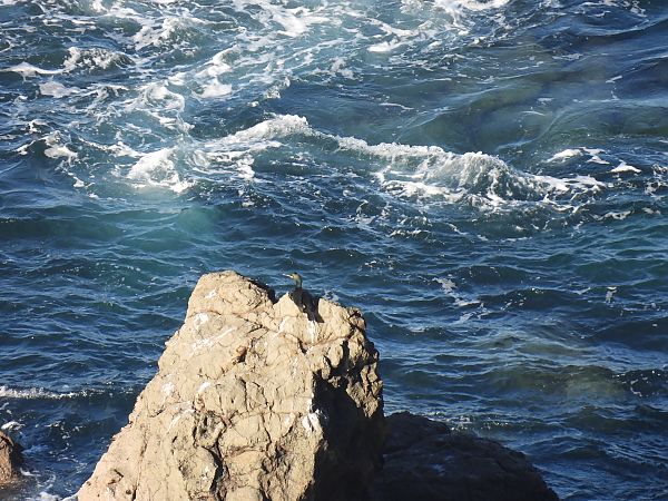 Ubarroi mottoduna  - Juana Oyanguren