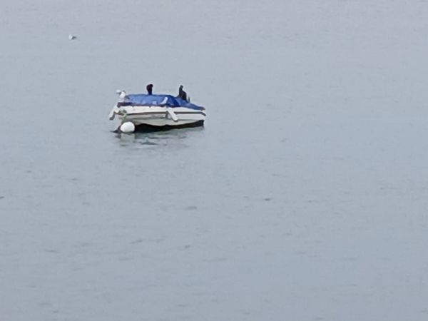 Ubarroi handia  - Jose Ramon Labrador Rodriguez