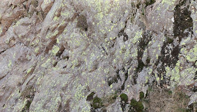 Harkaitz-txoria  - David Santamaría