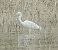Airone bianco (Ardea alba) © Vito Giovanni Santantonio