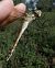 Anax ephippiger © Fausto Leandri