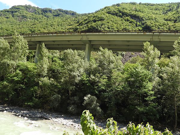 Rondone maggiore  - Mauro Ferri