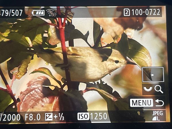 Luì di Hume  - Helmut Frind